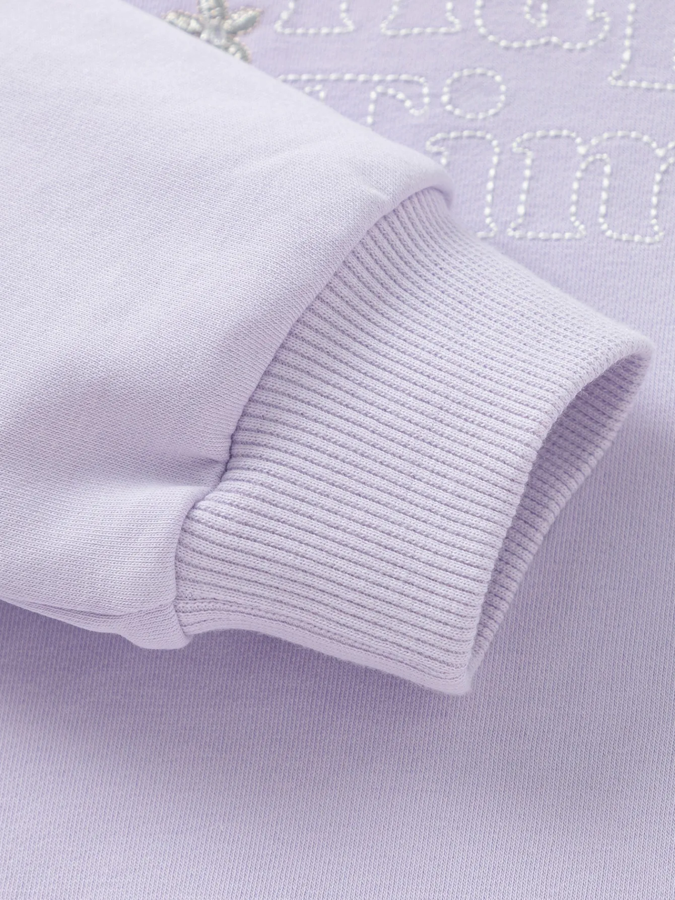 Balabala Children's Clothing Girls' Hooded Sweater 2025 Spring New A-line Top Violet Shop