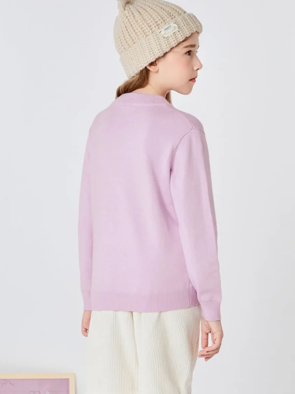 Balabala Kids Boy Long Sleeves Crew Neck Sweater Purplish Red Best