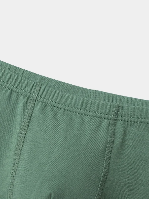Balabala Boy Toddler And Kid Bear Printed Colorful Lettering Briefs Gray Green Hue Discount