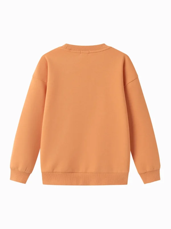 Balabala 2025 Spring New Boy Round Neck Sweatshirt Discount